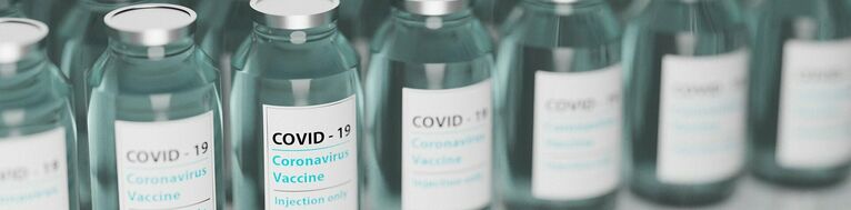 Weihnachtsbaum dekorieren