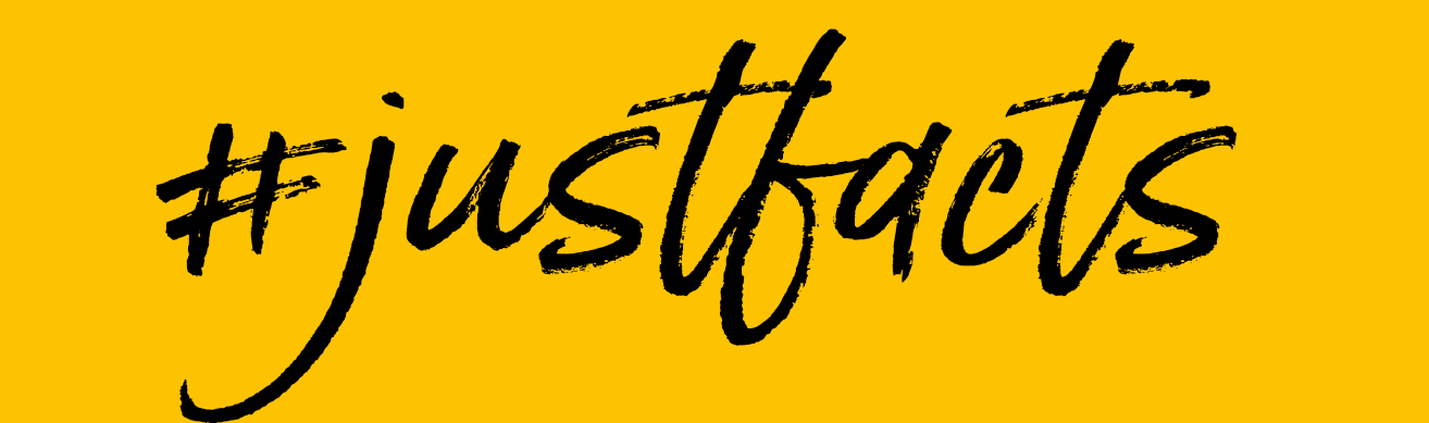 Solide Halbzeitbilanz 2019/2020